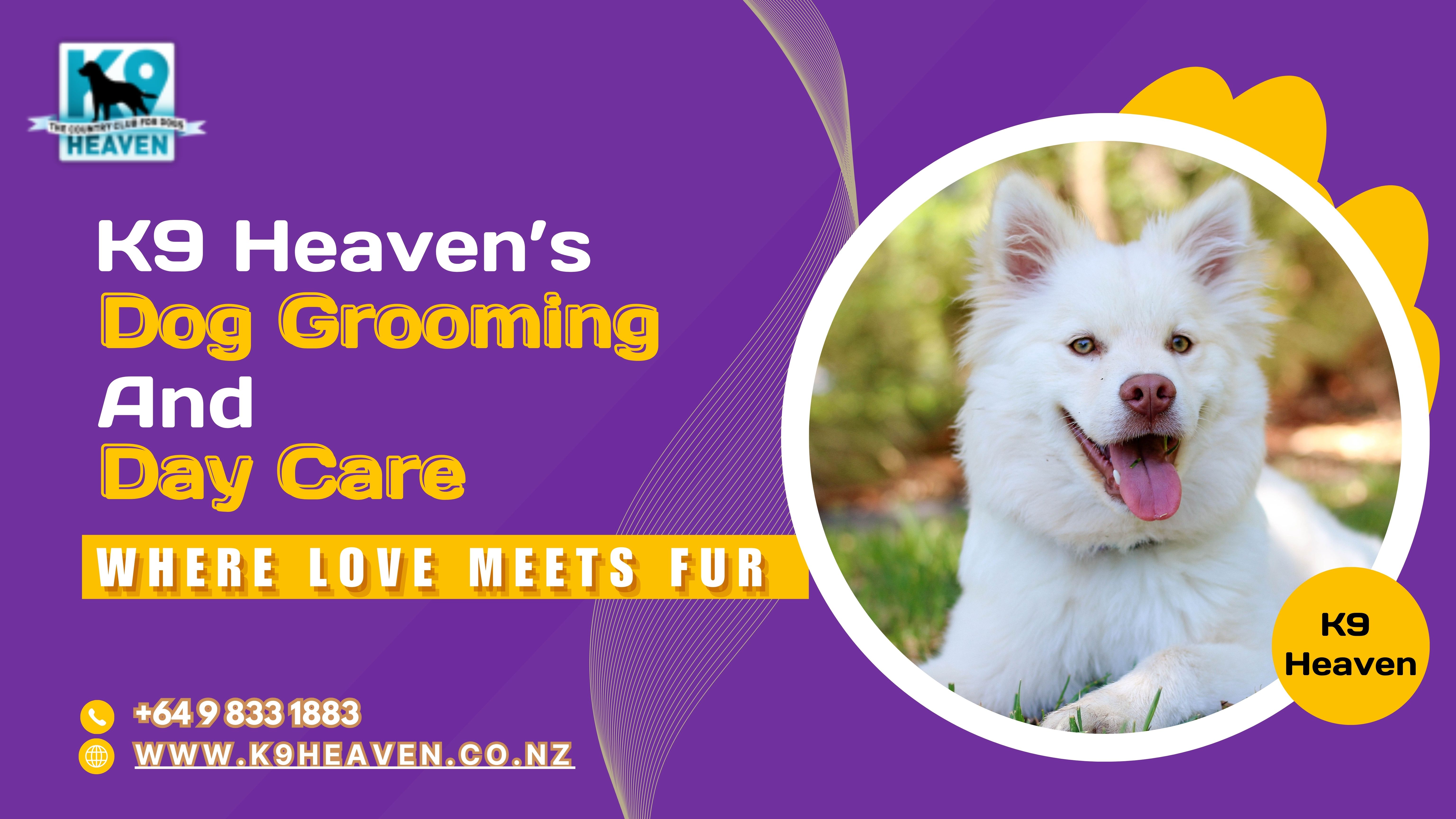 K9 Heaven